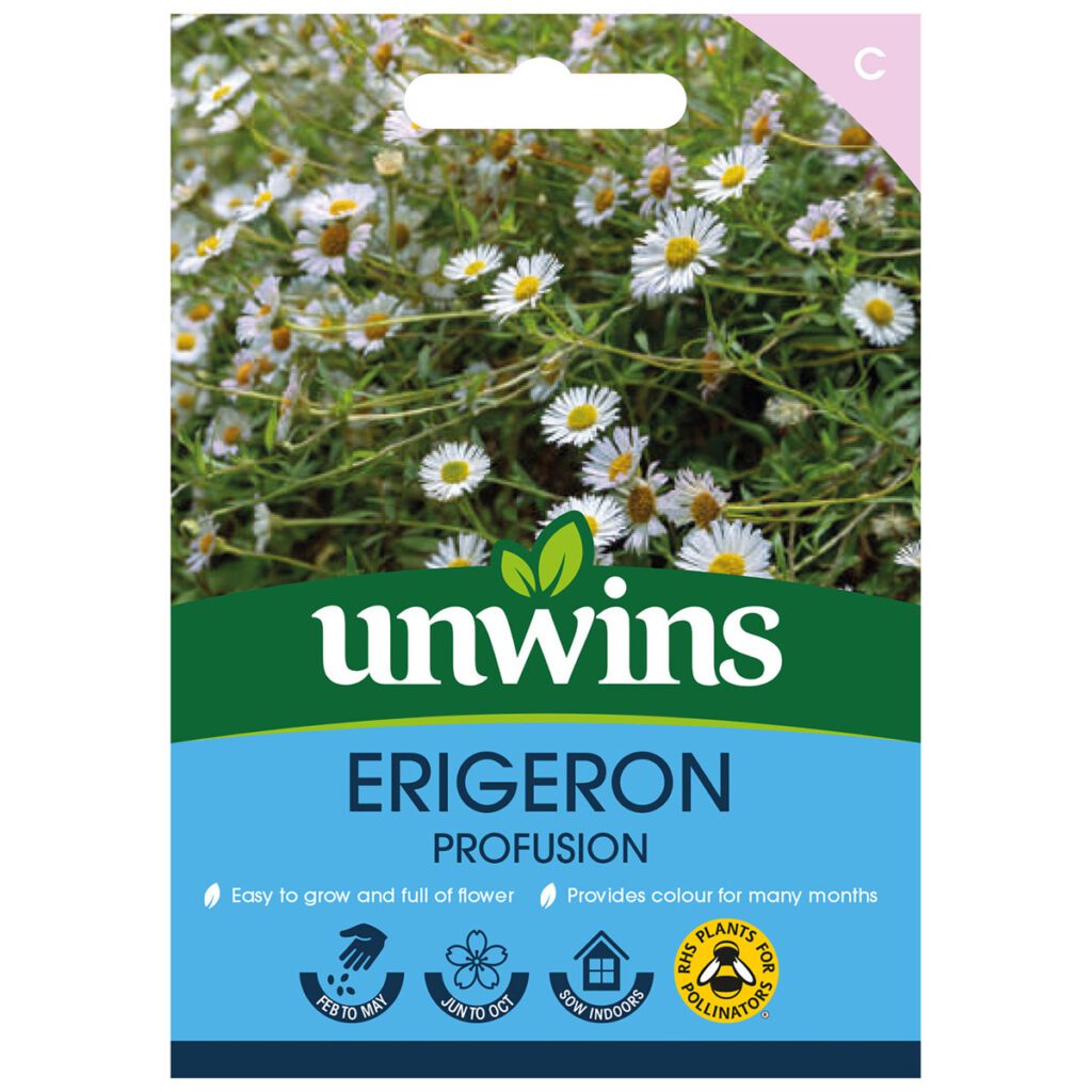 Unwins Erigeron Profusion Seeds 5051618027274 2